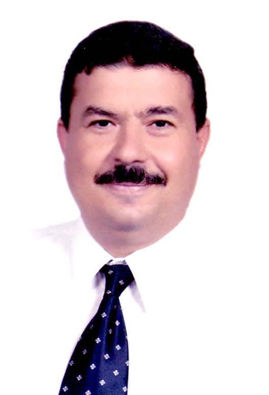 Mahmoud Ahmed Mansour