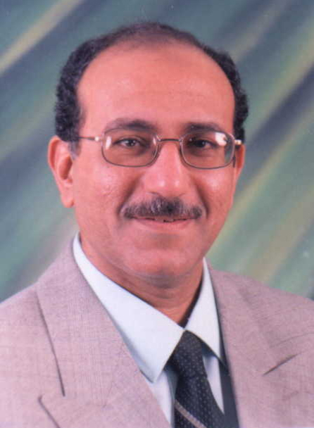 Mehany Ghanaiem