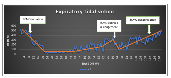 Fulltext | Successful ECMO Decannulation after (103 Days) Due to COVID ...