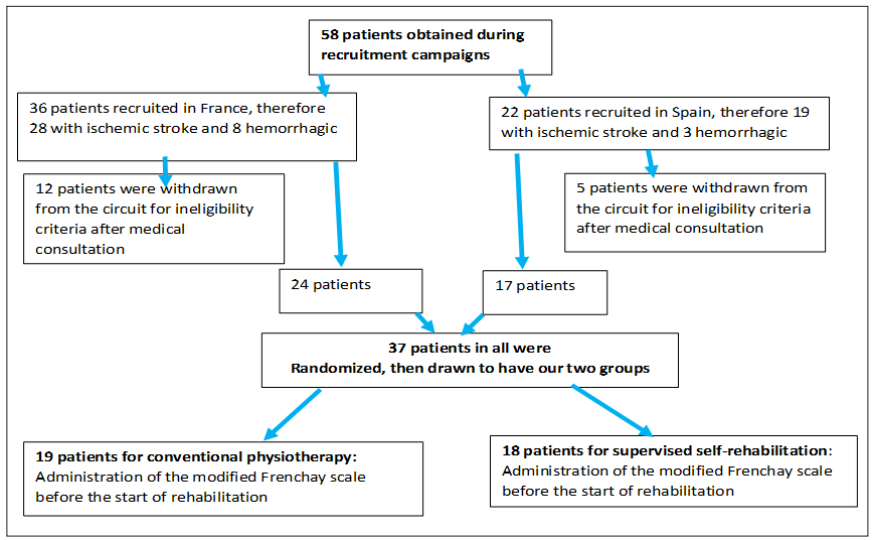 Fulltext | Medication by Physical Exercise of the Upper Limb in ...