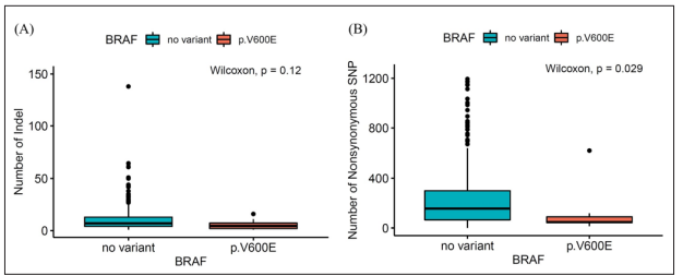 Fulltext | Neoantigen and MMR Gene Methylation Analysis of BRAF V600e ...