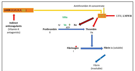 Fulltext | Modern Strategies of Anticoagulant and Antiplatelet Therapy ...